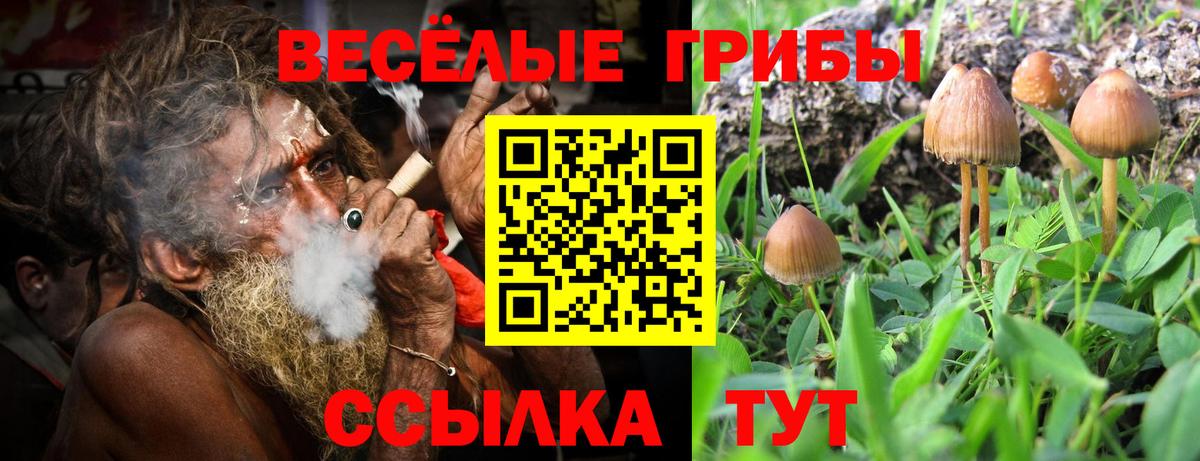 Переславль-Залесский  Галлюциногенные грибы мухоморы  Вход с VPN 